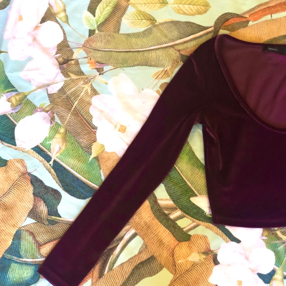 Aritzia Talula Velvet Long Sleeve Crop Top - Picture 6 of 8